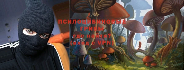 прущие крисы Абаза