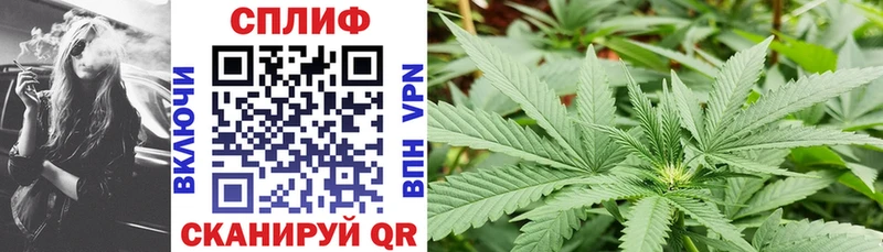 omg ССЫЛКА  Тетюши  Марихуана OG Kush 
